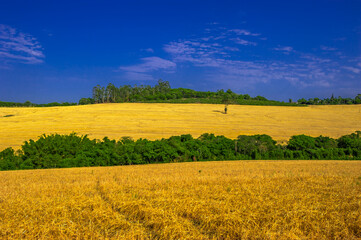 Fototapeta premium rural landscape. contryside, beautiful farm