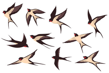 Colorful flying swallows flat illustration set. Cartoon birds flock in fight with different poses isolated vector illustration collection. Wildlife and fauna concept