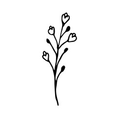 Doodle stem with flowers and berries. Vector illustration of twigs with flowers can be used for packaging cosmetics, shower gels, soaps, textiles