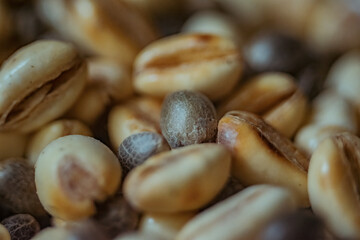 Fototapeta na wymiar coffee beans on black background