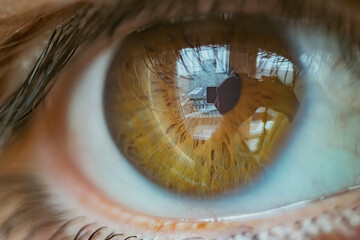 Beautiful light brown eye macro image