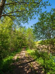 Landschaft mit Weg und Bäumen bei Kuchelmiß