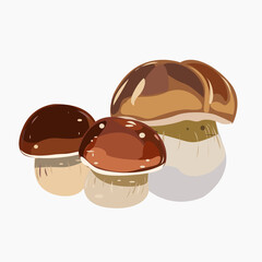 White mushroom or boletus on a white background