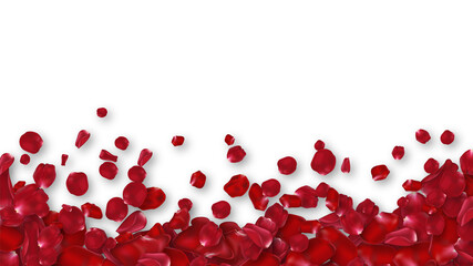 Red Rose petals romantic background 