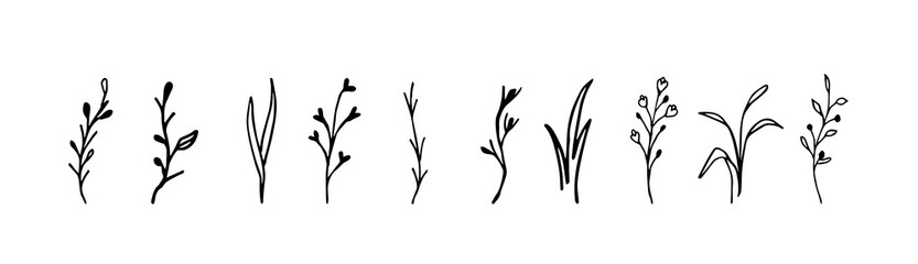 Doodle set of herbs on a white background isolated. Can be used for the design of stickers, packaging, logos, clothing, tags, cosmetic products