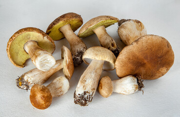 Raw wild  mushrooms  for cooking. Composition with wild mushrooms.Edible wild mushrooms,  on the white background.