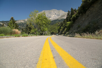 street road yellow lines trees mountain firs transportation background