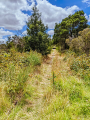 Peninsula Link Trail in Australia
