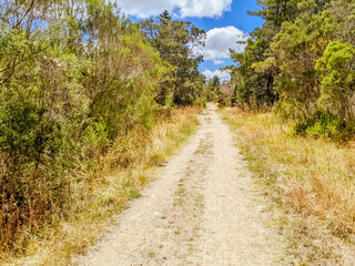 Mornington Rail Trail Australia