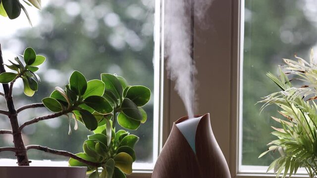 Wooden Colorful Diffuser with Home Plants and Snow Falling Outside the Window. Indoors Decoration with Air Humidification.