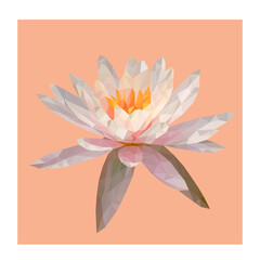 Colourful polygonal style design of white and ponk lotus flower
