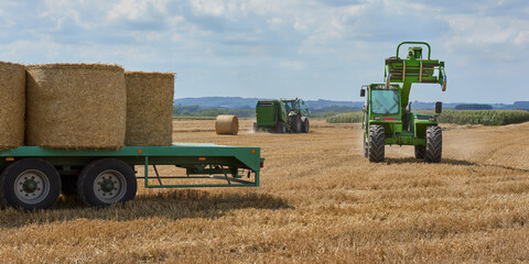 Wheat harvest of crop in Summer in Belgium Flanders © erwin