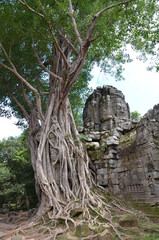 RACINES DE FROMAGER ENVAHISSANT LES RUINES DU TEMPLE TA SOM SITE D'ANGKOR