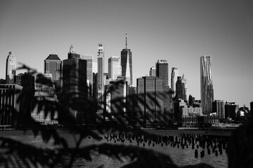 city skyline in the morning  New York City  