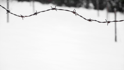 Barbed wire surrounding private property, winter composition, snow falling, frozen nature, winter time background with copy space