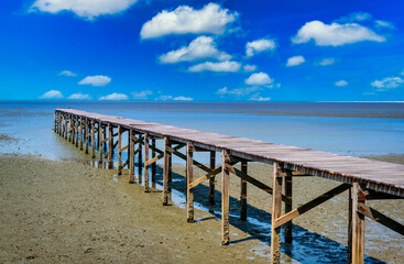 Wooden bridge in mangrove forest with blue sky background.