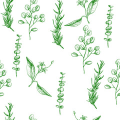 Hand drawn engraved style herbs and leaves seamless pattern