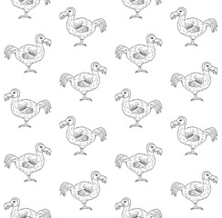 Vector seamless pattern of hand drawn doodle sketch dodo bird isolated on white background