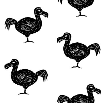 Vector seamless pattern of hand drawn doodle sketch black dodo bird isolated on white background