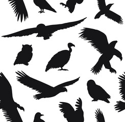 Vector seamless pattern of hand drawn wild predator birds silhouette isolated on white background