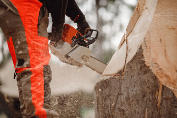 Close-up of woodcutter lumberjack is man chainsaw tree
