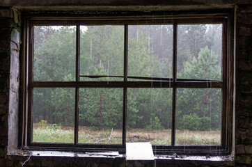 Naklejka premium Checked window frame. View of the forest through a window without glass.