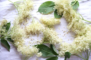 bouquet of white flowers
