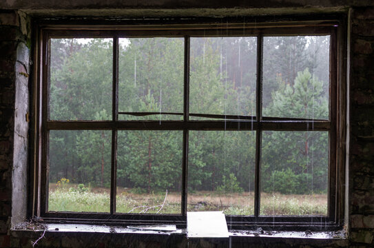 Checked window frame. View of the forest through a window without glass.
