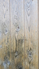 wood texture background
