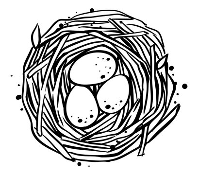 Bird's nest with eggs, hand drawn vector, monochrome