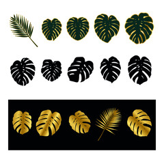 Set of monstera leaves. Stylized leaves of different colors. Vector exotic floral illustration