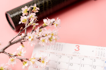 丸筒とカレンダーと桜
