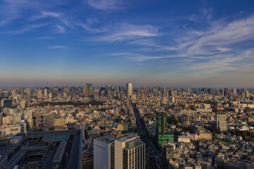 Fototapeta premium 東京都渋谷区から見た東京の夕景