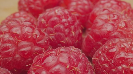 Red raspberries in camera motion