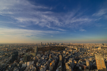 東京都渋谷区から見た東京の夕景