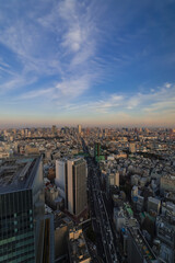Fototapeta premium 東京都渋谷区から見た東京の夕景