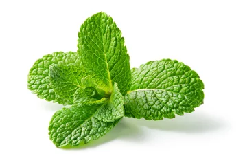 Foto op Aluminium Mint leaf. Fresh mint on white background. Mint leaves isolated. Full depth of field. © MarcoFood