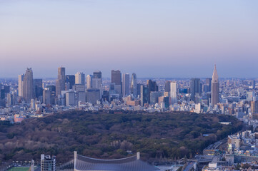 Obraz premium 東京都渋谷区から見た東京の夕景