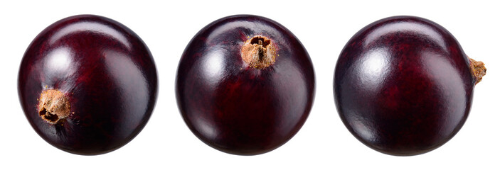 Black currant isolate. Currant black berries on white background. Currant with clipping path. Top view. Side view. Set with full depth of field.