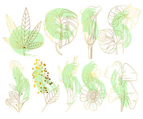 Botanical set of tropical leaves isolated on white background. Boho leaves with an abstract shape in a minimalist style. Vector illustration