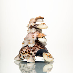 Crafts made of seashells in the form of turtles on a white background