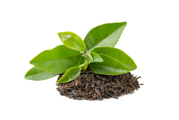 Dry tea with green leaves