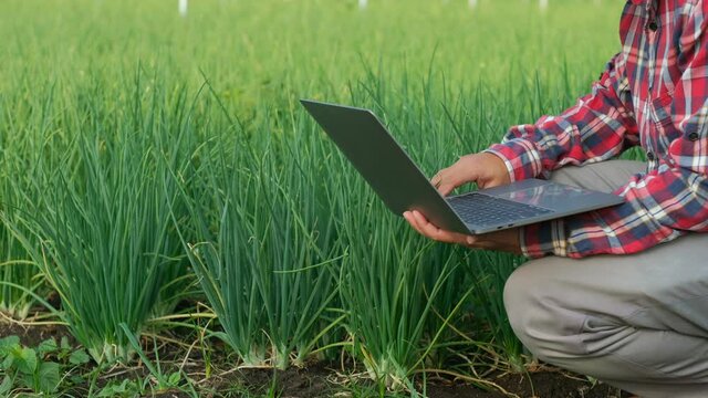 Farmers use laptop computer to collect data on the growth of spring onions in the field. Agricultural technology