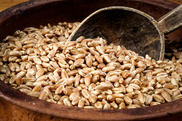 wheat grains and ceramic bowl on wooden table, selective focus