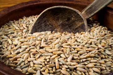 rye grains and ceramic bowl on wooden table, selective focus