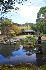 旧玉里庭園の鶴の池と紅葉