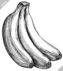 Engrave isolated banana hand drawn graphic vector illustration