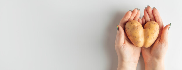 Heart shaped potatoes in hands on a white background. Valentine's day concept. Banner format.