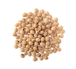 soybean isolated on white background. top view