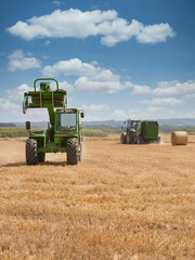 Obraz premium Harvesting wheat crop in Summer